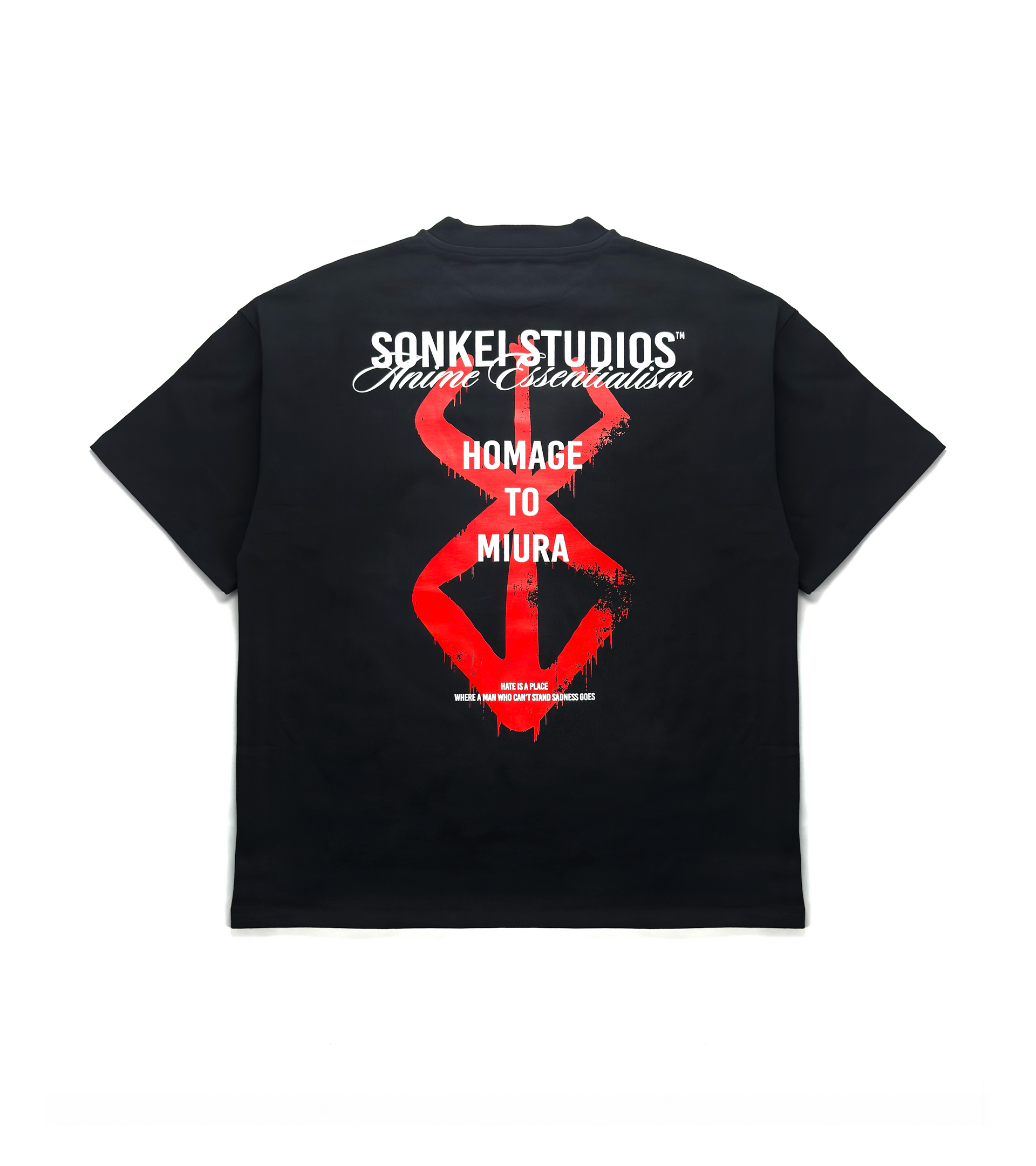 ミュージシャン Hiloto Wakai Birthday Raglan T-shirt Hiloto Wakai Birthday Raglan T-shirt Hiloto Wakai Birthday
